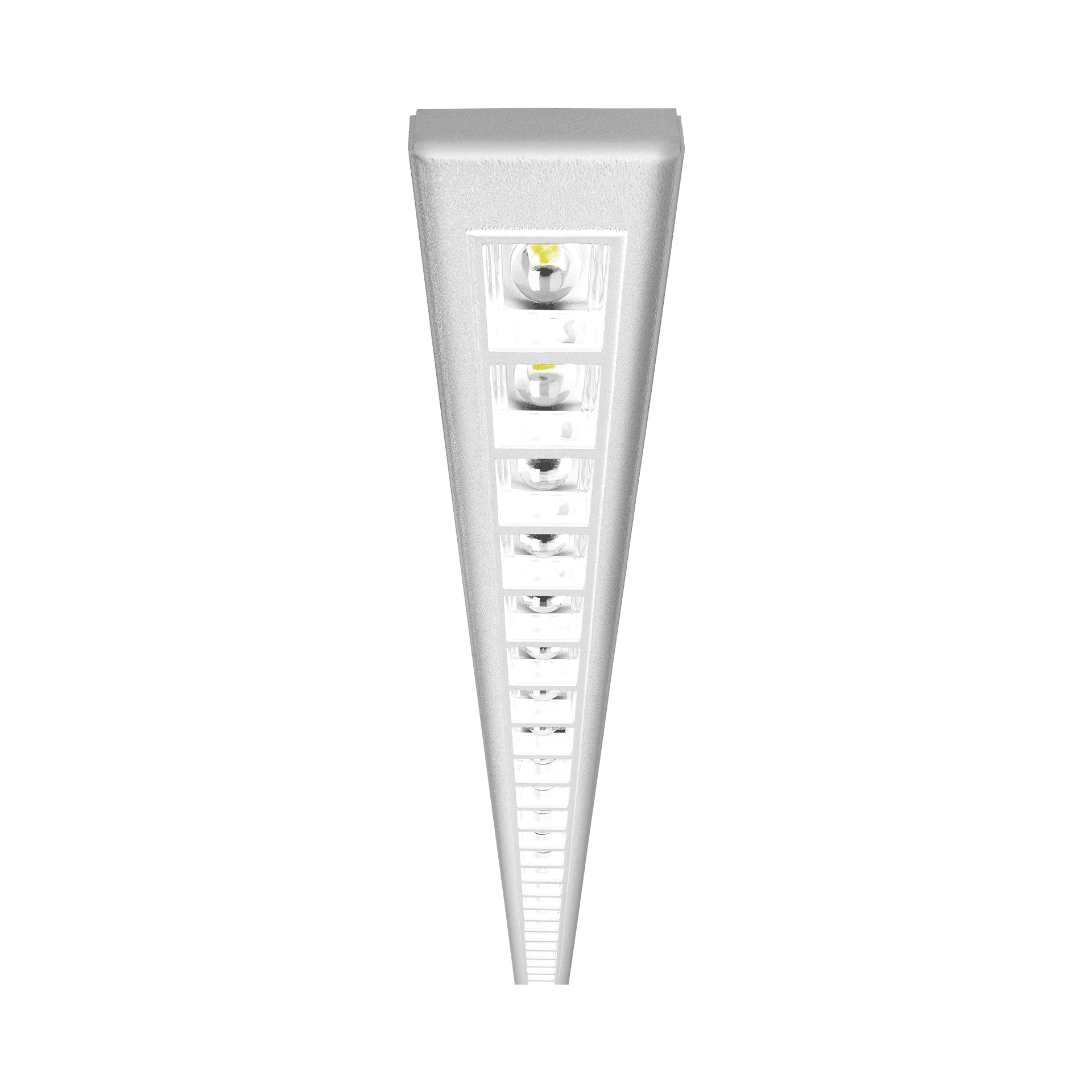 TERRANO_06_(1)_WHITE