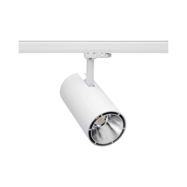 Expo LED 2