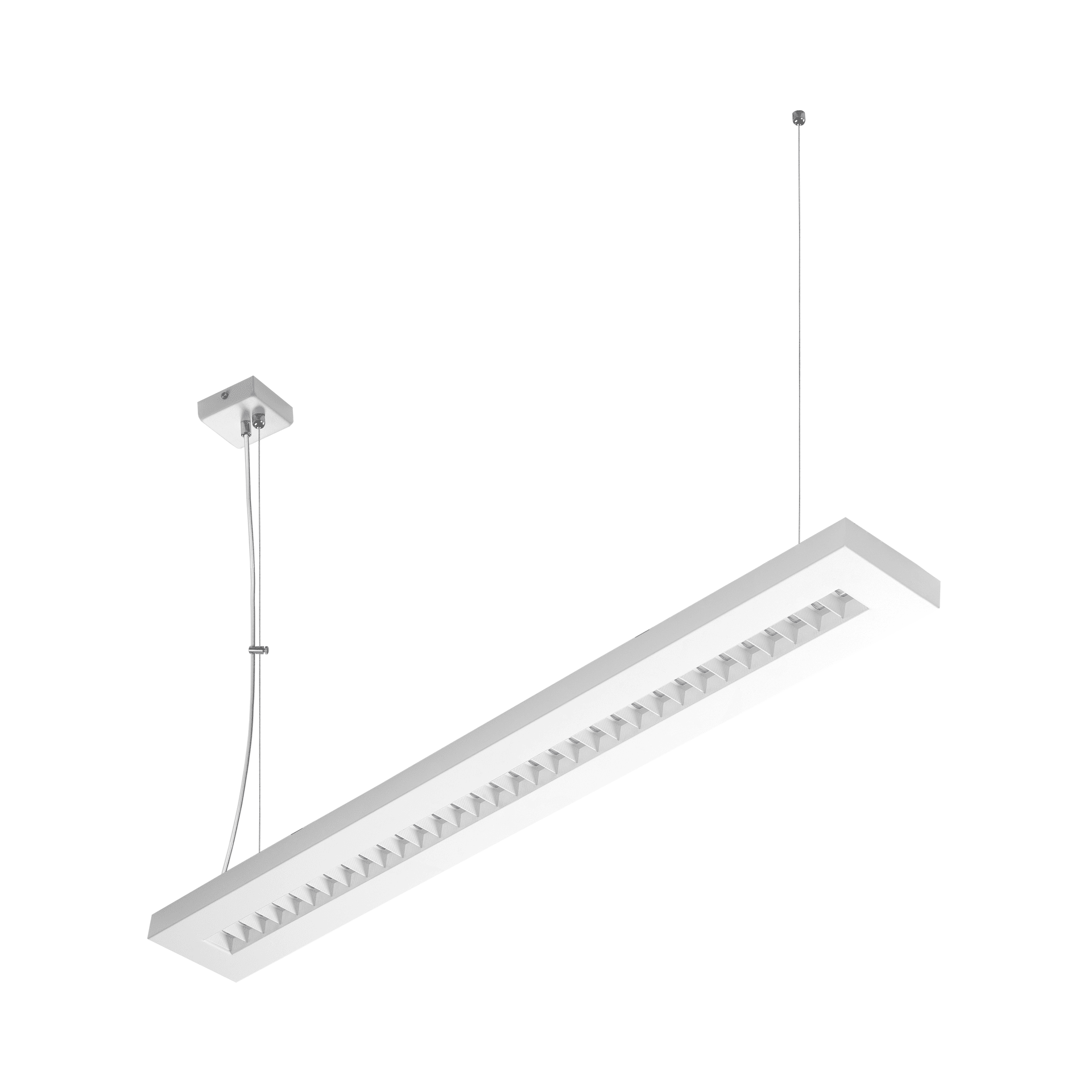 TERRA-02-N-1195-140-2X1_zwiesia