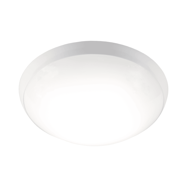 CAMEA-LED-EVO
