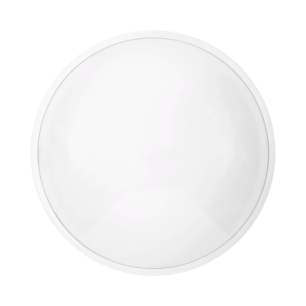 CAMEA-LED-EVO