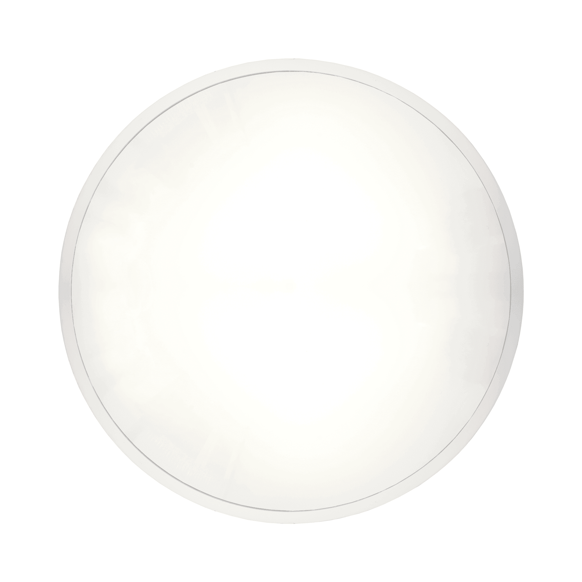 CAMEA-LED-EVO