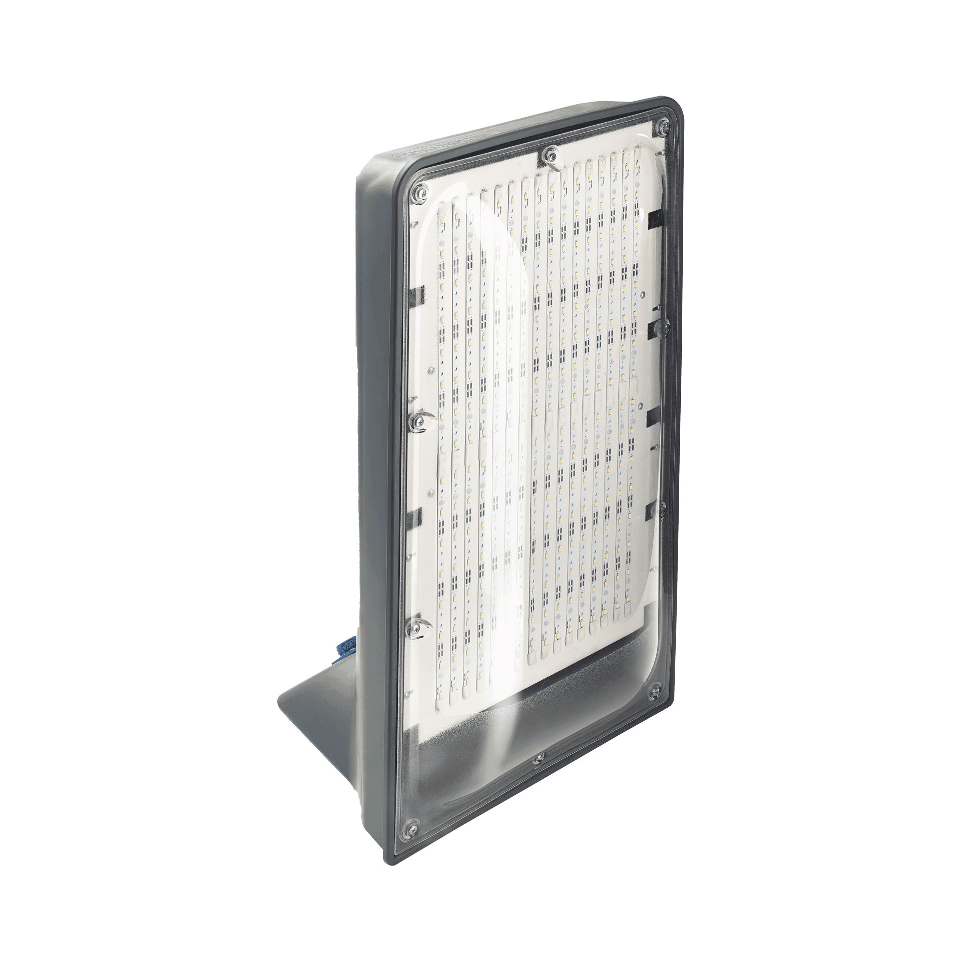 Giant LED Evo