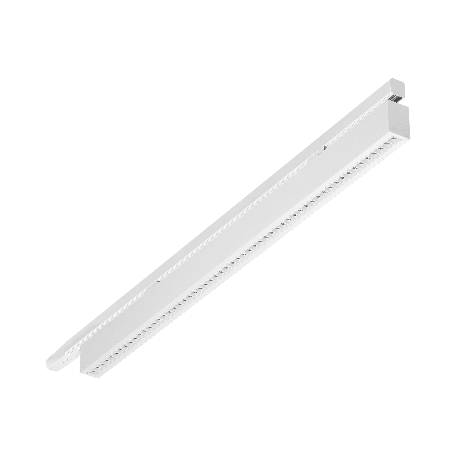 TERRANO-S-WHITE