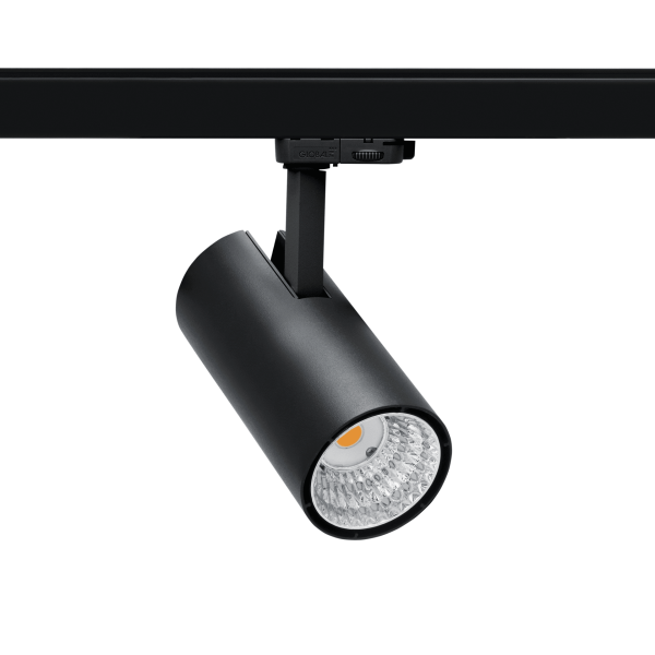 Expo LED 3 Mini