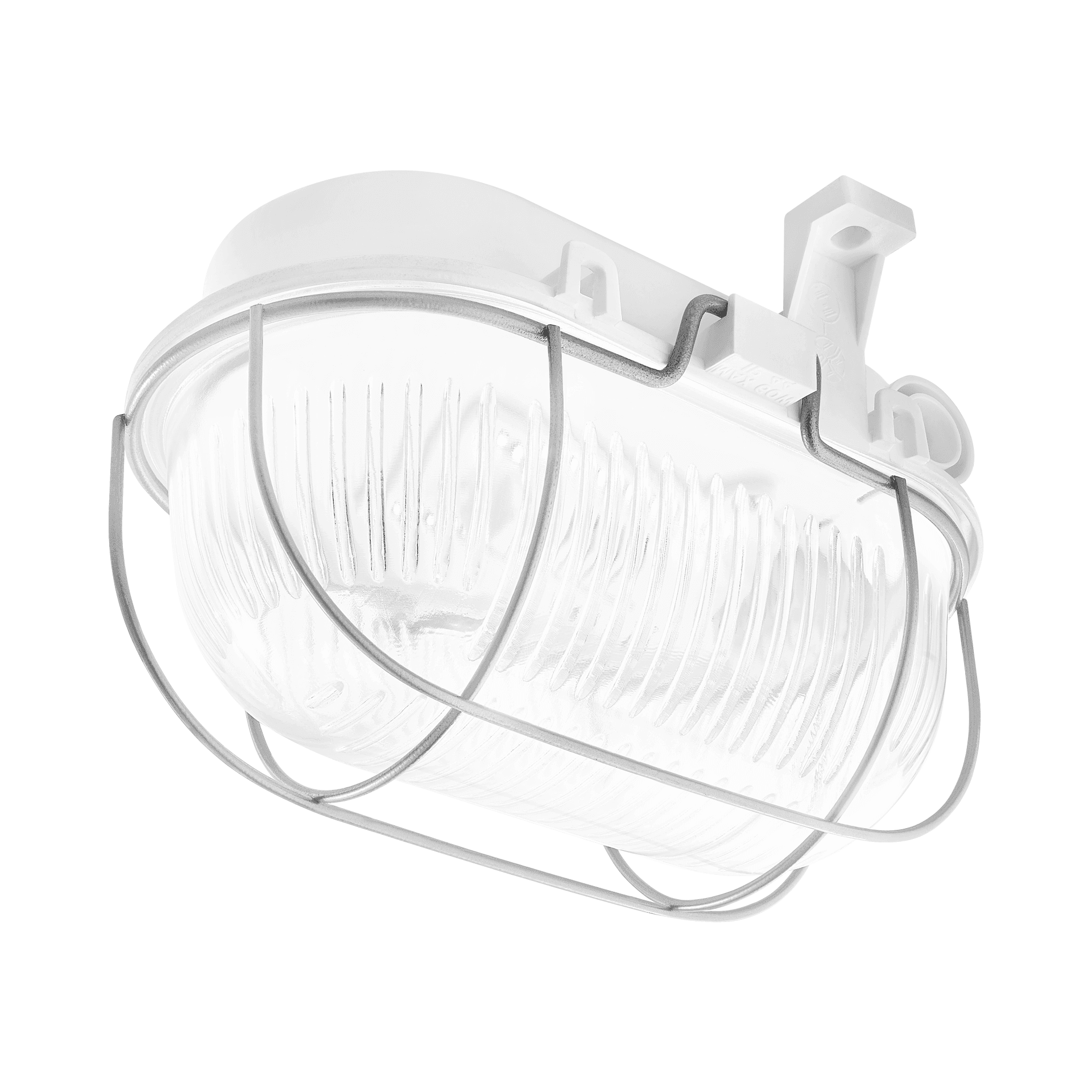 OVAL LED EVO