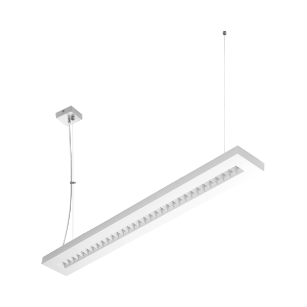 TERRA-02-N-1195-140-2X1_zwiesia