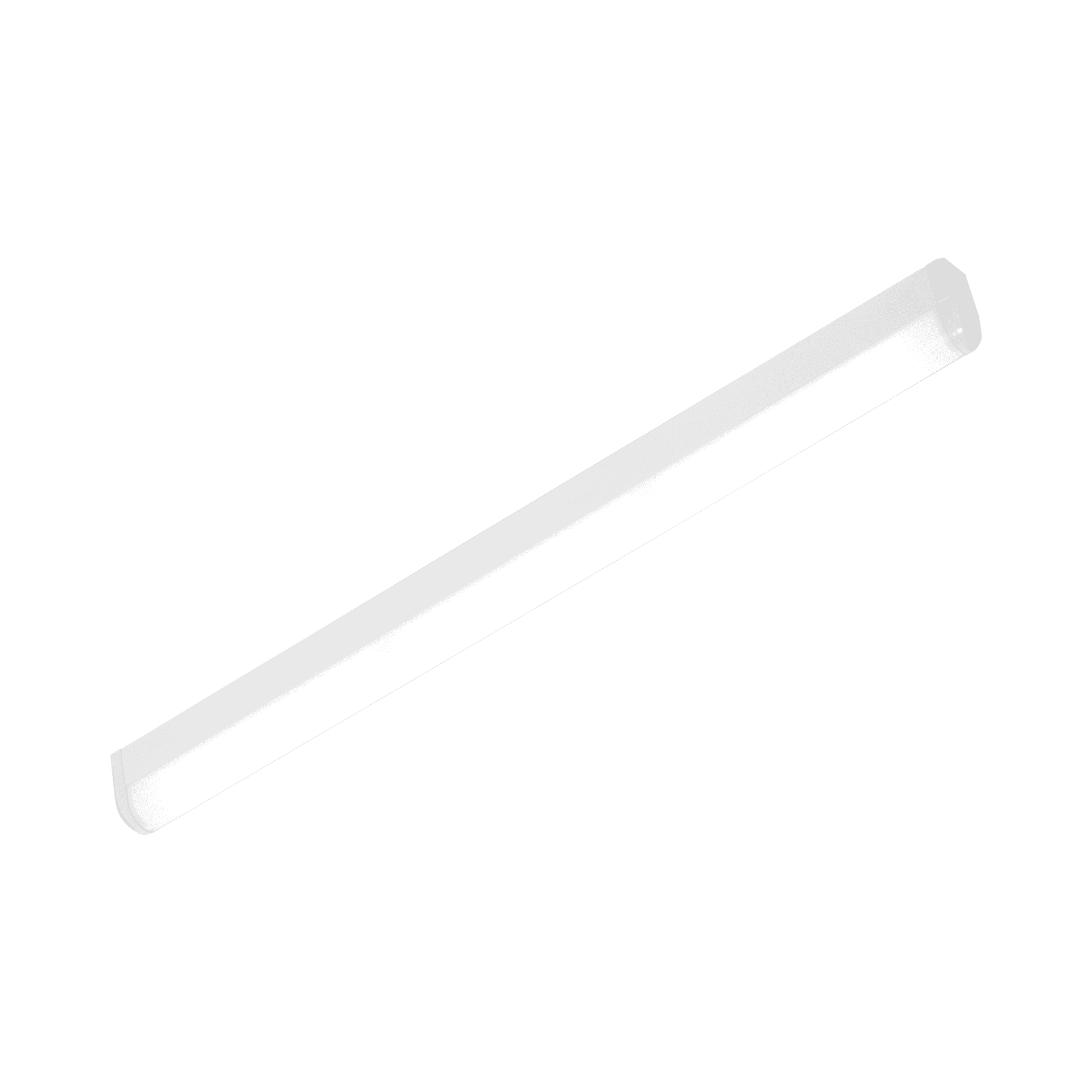 SPECTO LED EVO