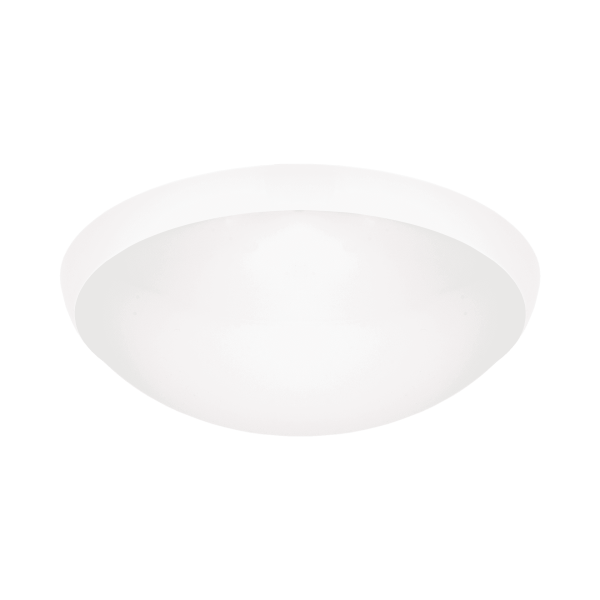 CAMEA-LED-EVO