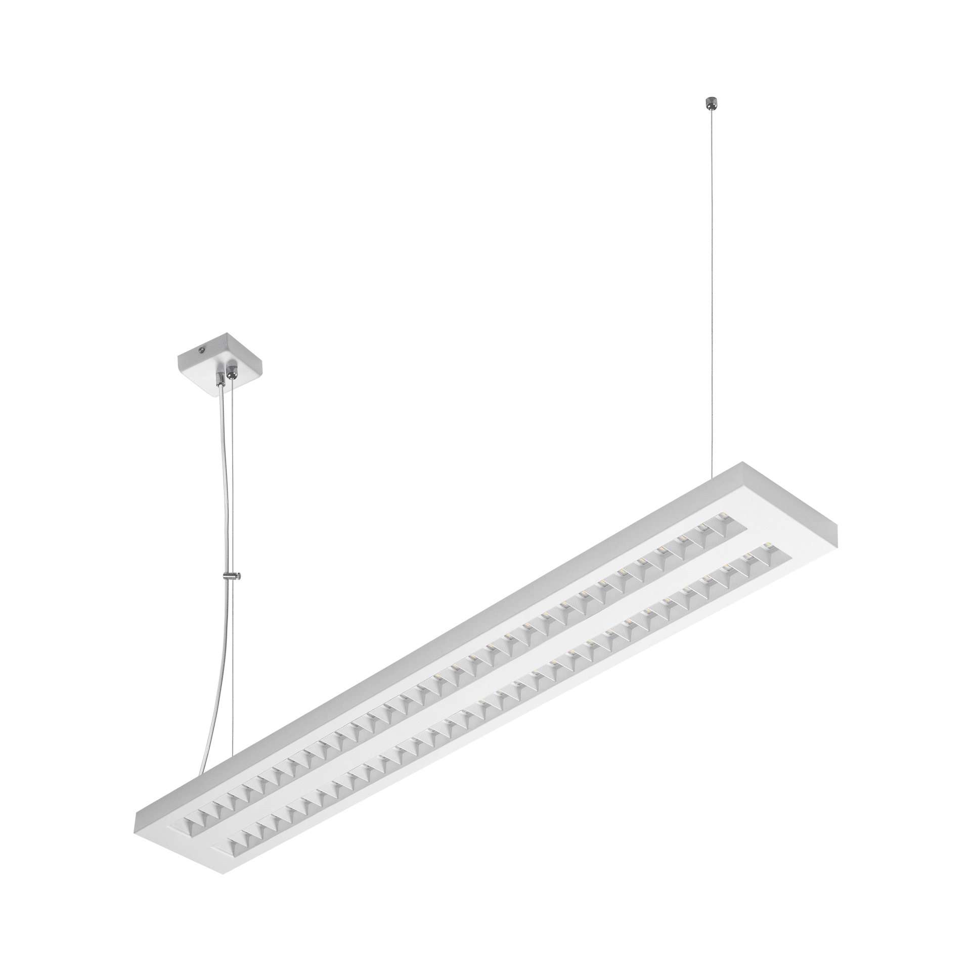 TERRA-01-N-1195-170-2X2_zwiesia