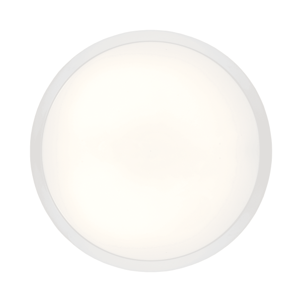PROXIMA LED EVO PLUS