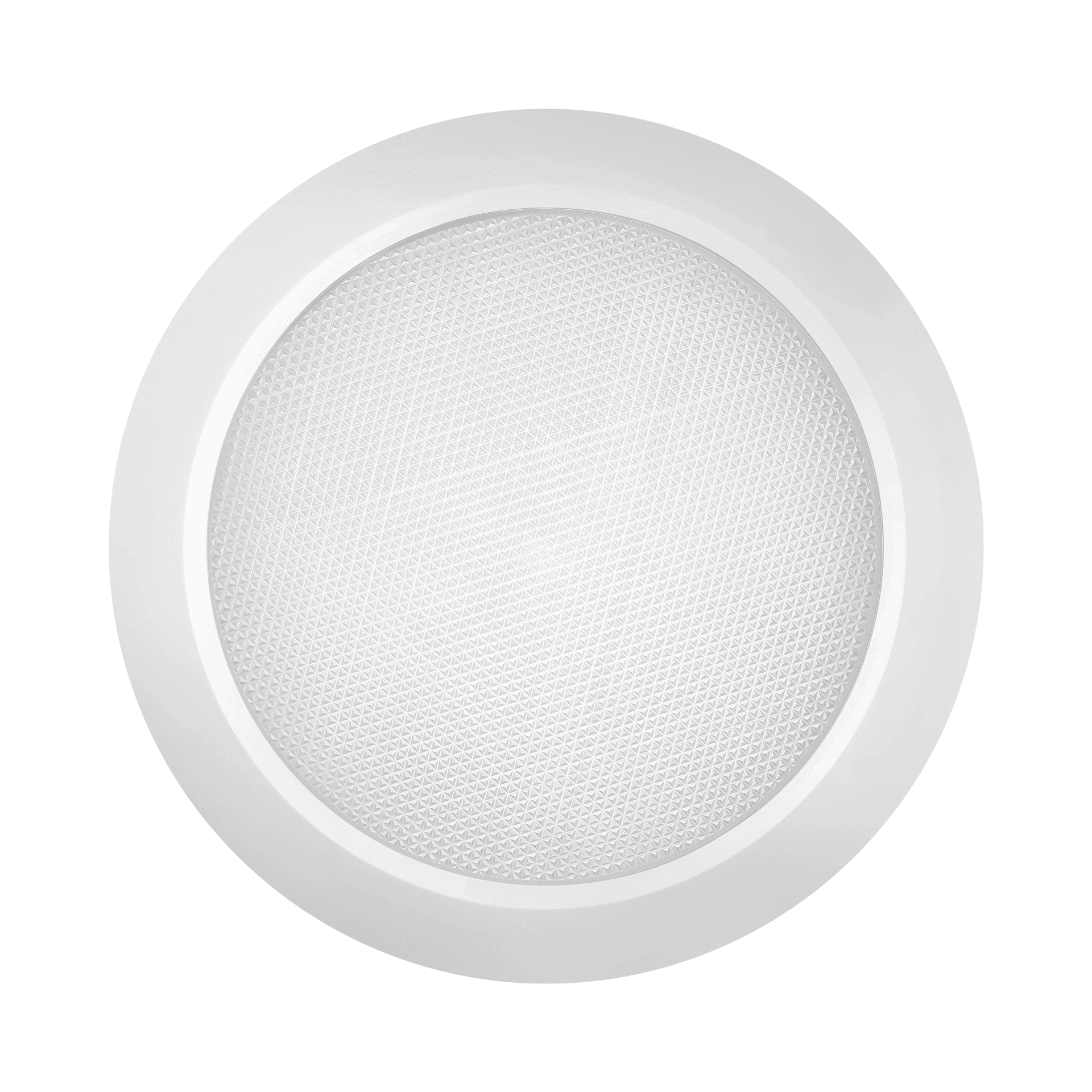 DLN 220 LED EVO