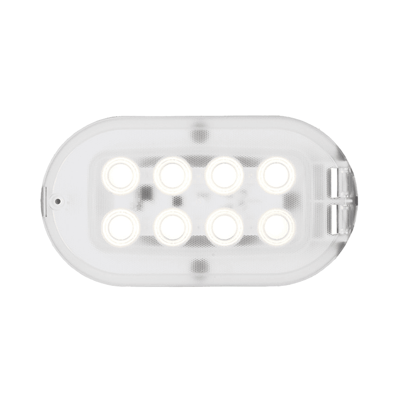 Oval LED Basic