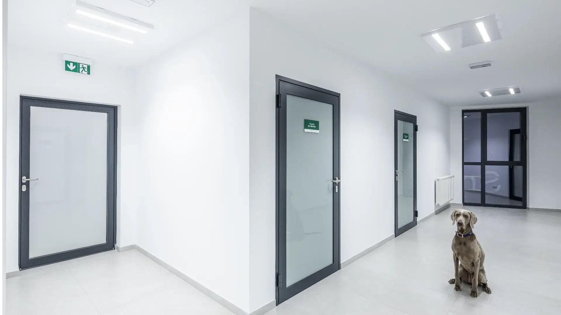 UV-C Sterilon Square N